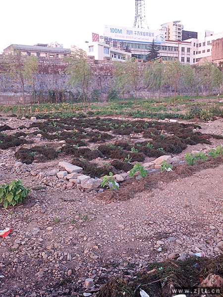 IMG_20130712_184608_副本.jpg