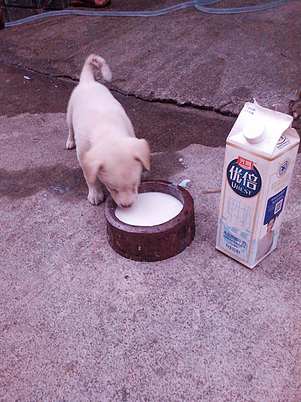 IMG_20130723_185508_副本.jpg