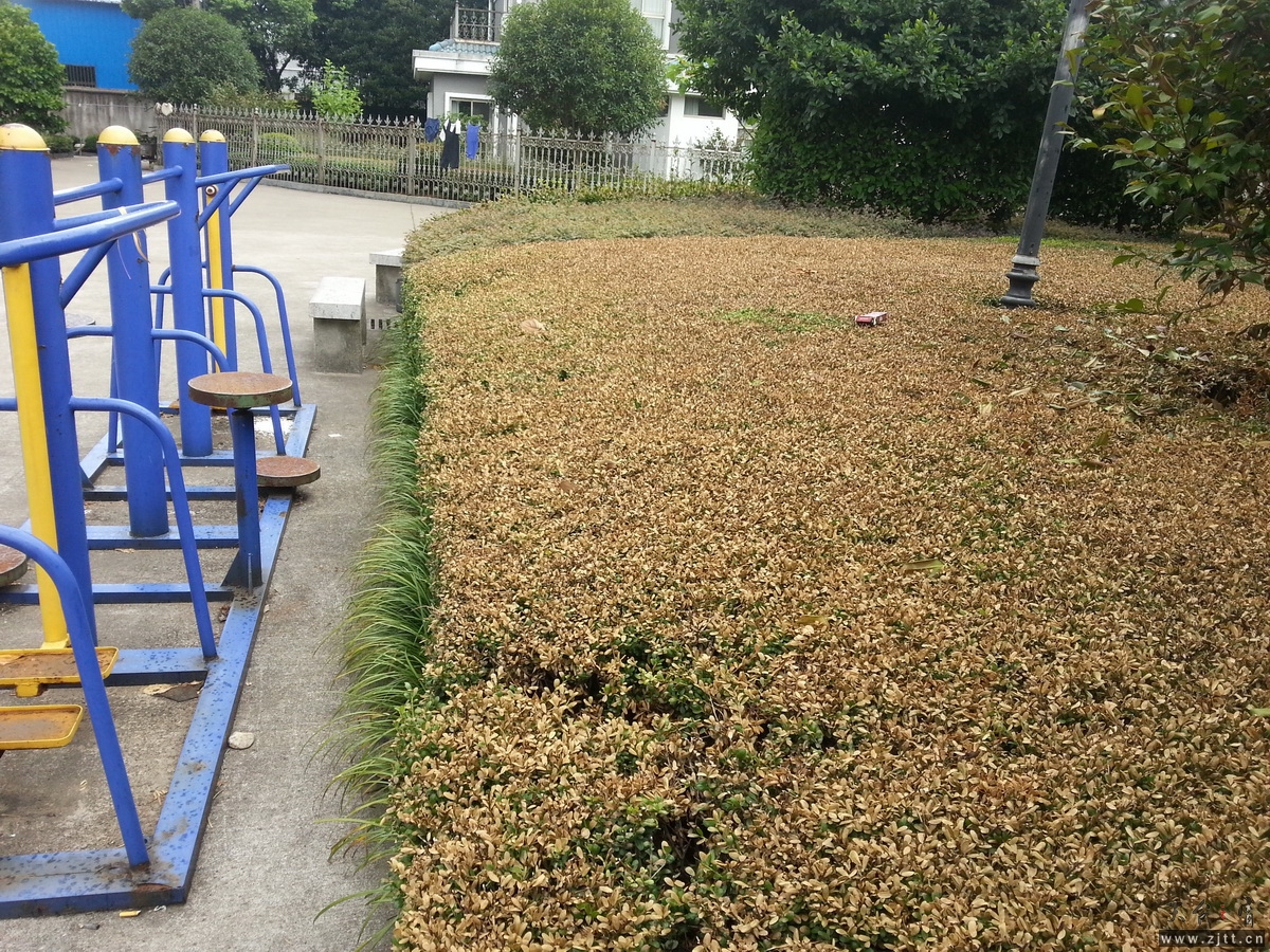 20130802_103527.jpg