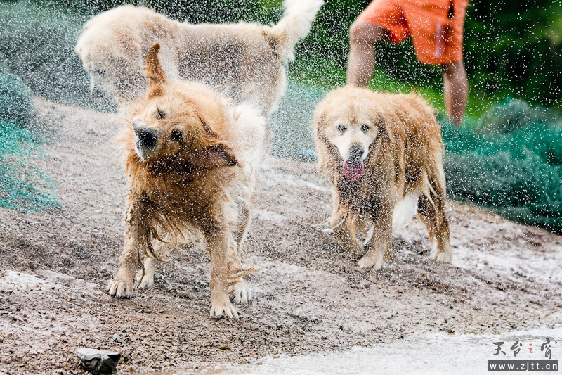 44429787200907230316272443369838224_008.jpg