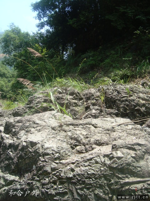DSC06551_副本.jpg