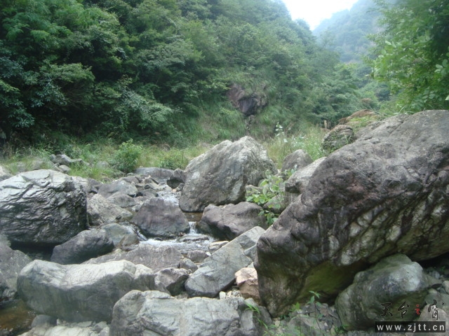 DSC06558.JPG