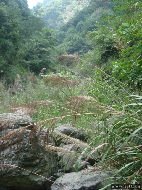 DSC06559.JPG