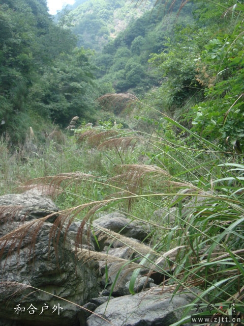 DSC06559_副本.jpg