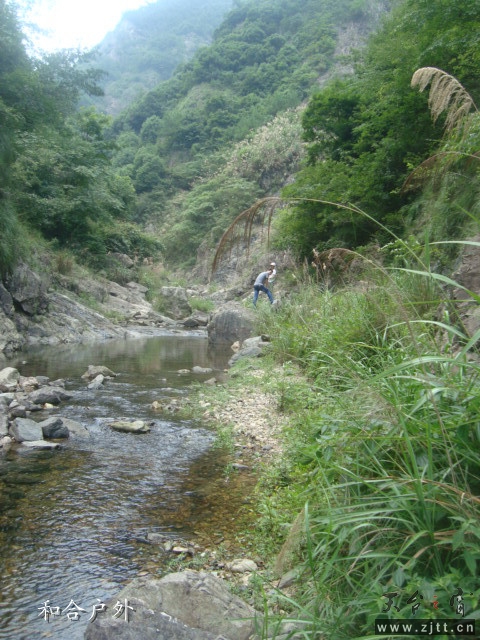 DSC06561_副本.jpg