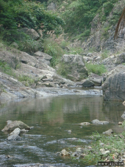 DSC06563.JPG