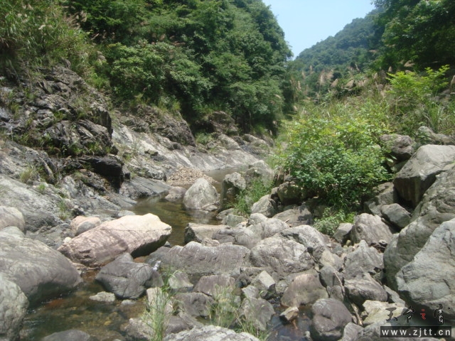 DSC06579.JPG