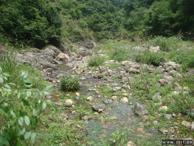 DSC06585.JPG