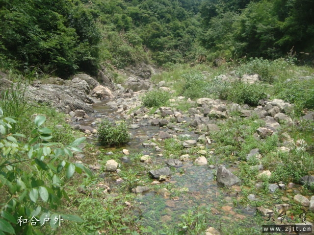 DSC06585_副本.jpg