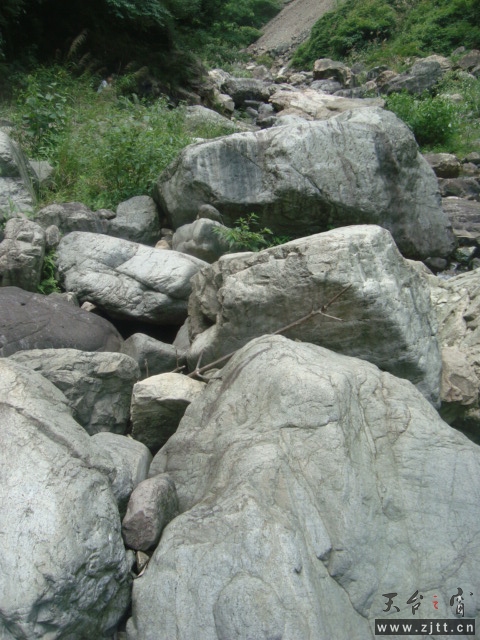 DSC06592.JPG