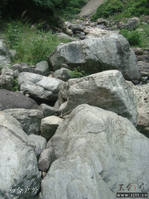 DSC06592_副本.jpg