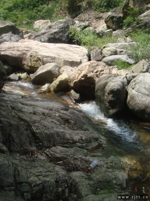 DSC06630.JPG