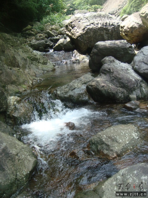 DSC06631.JPG