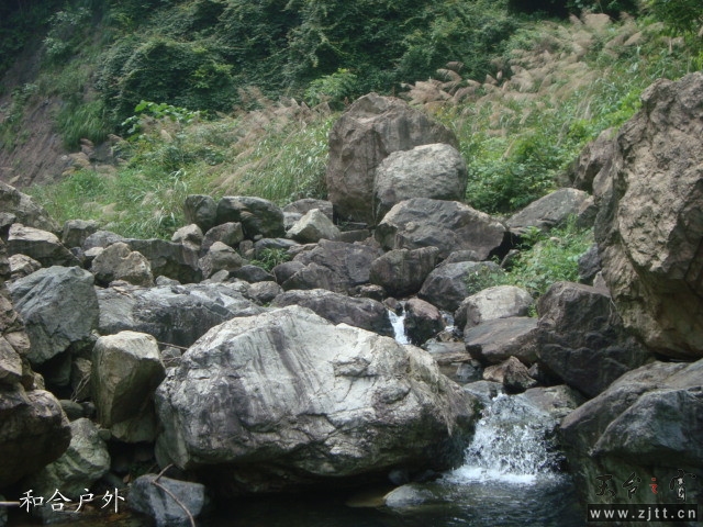 DSC06646_副本.jpg