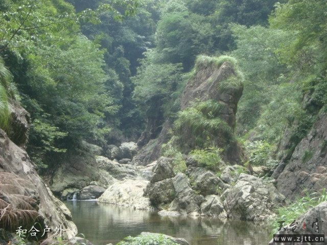 DSC06650_副本.jpg