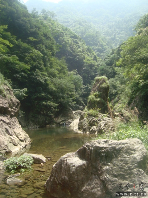 DSC06653.JPG