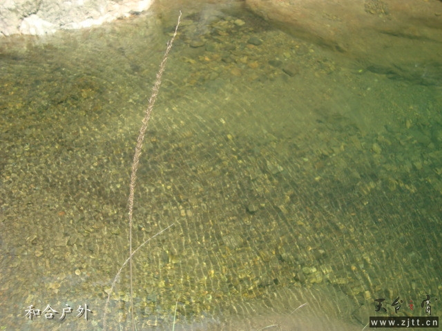 DSC06674_副本.jpg