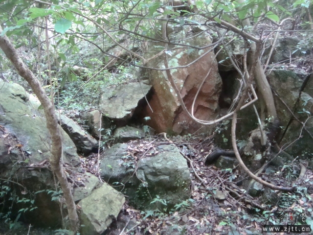 DSC06687.JPG