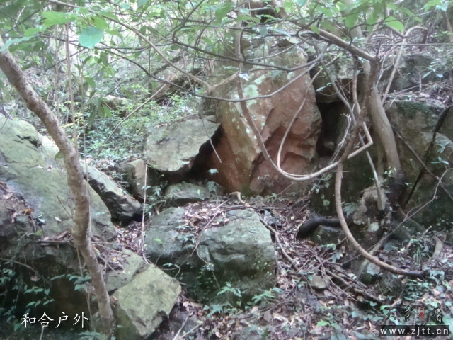 DSC06687_副本.jpg