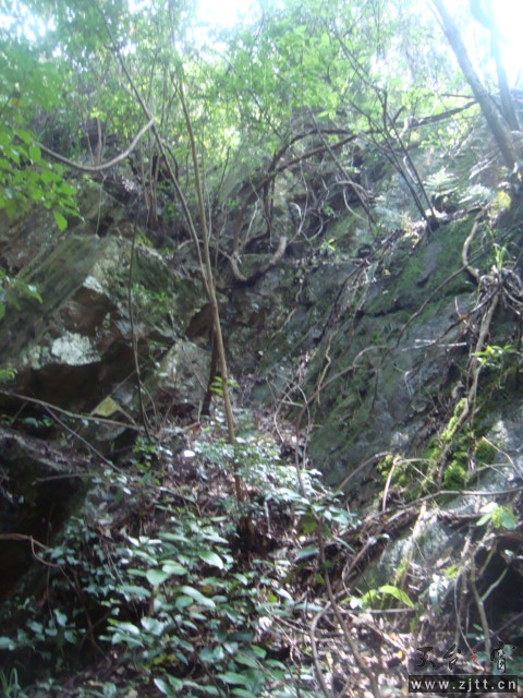 DSC06688.JPG