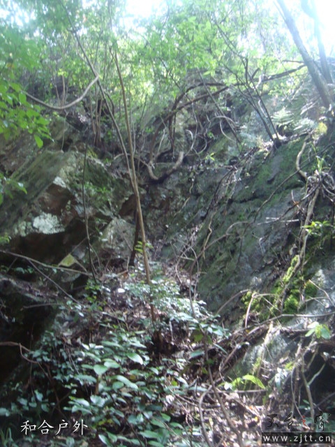 DSC06688_副本.jpg
