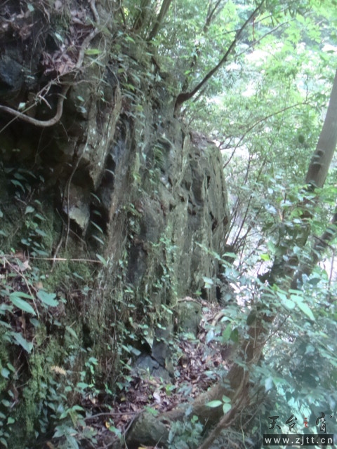 DSC06689.JPG