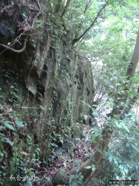 DSC06689_副本.jpg