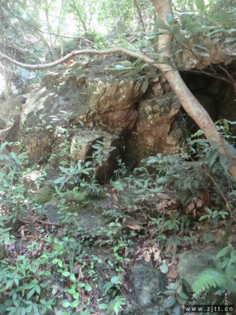 DSC06694.JPG