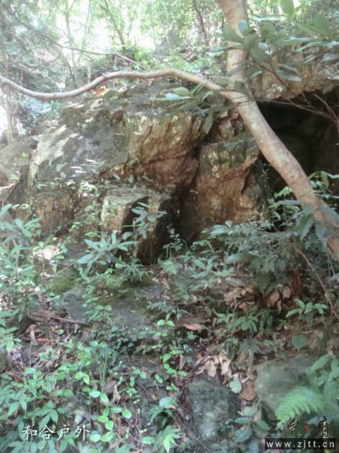 DSC06694_副本.jpg