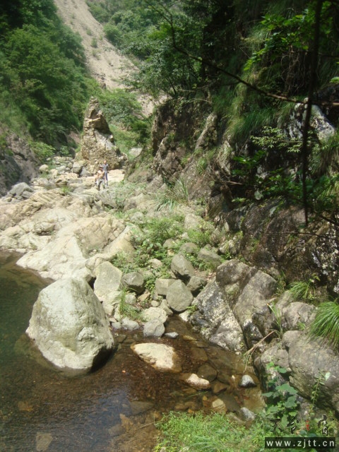 DSC06695.JPG