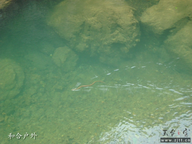 DSC06703_副本.jpg