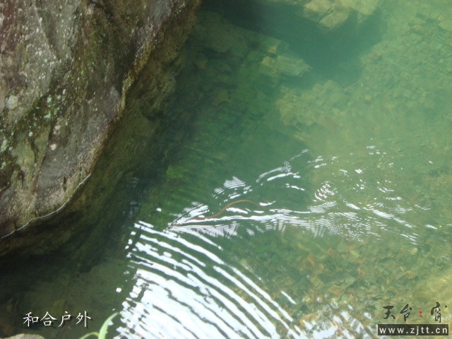 DSC06704_副本.jpg