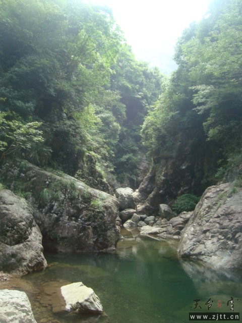 DSC06709.JPG