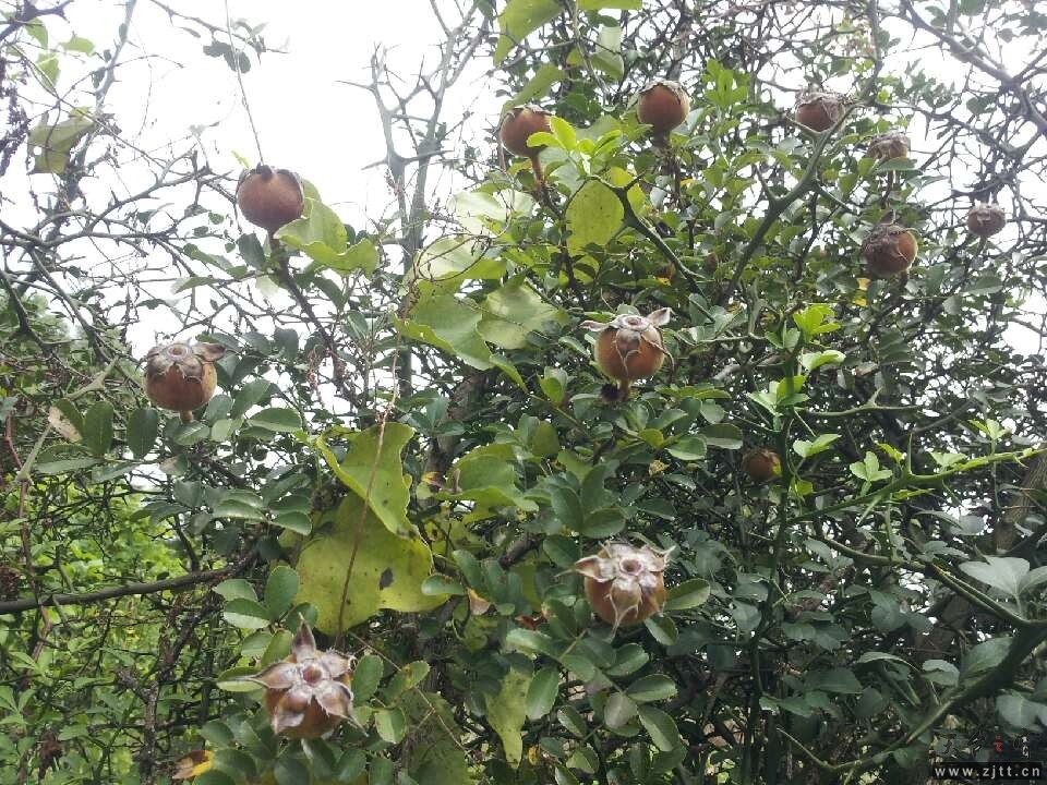 QQ图片20130915150929.jpg
