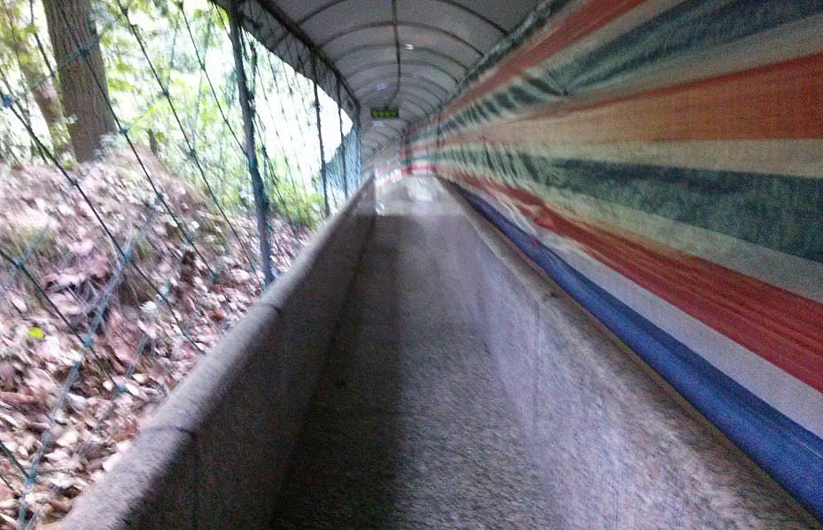 13.jpg