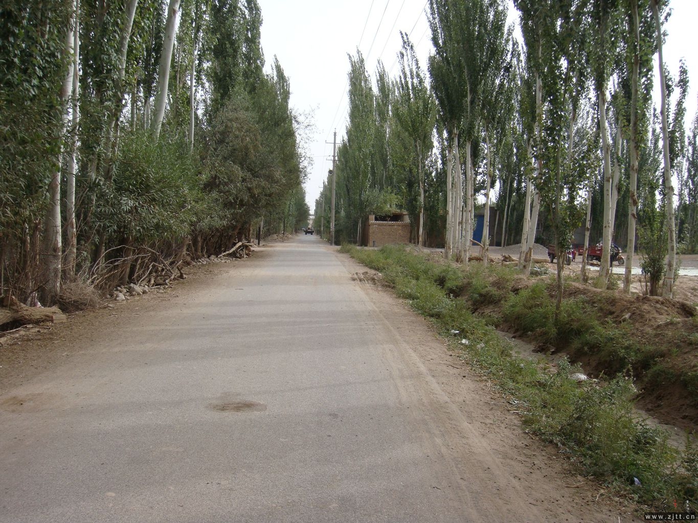 DSC04250_副本.jpg