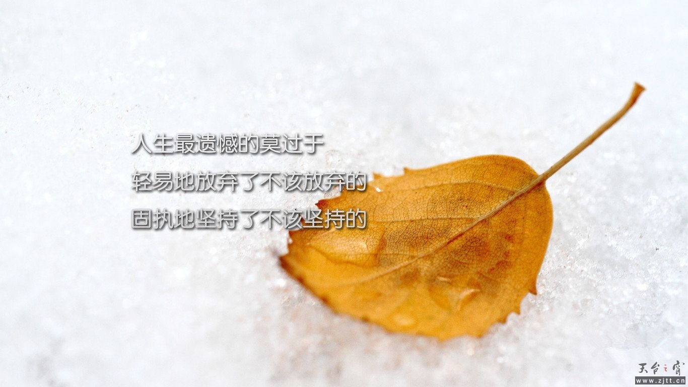 1ad5ad6eddc451da489d34dfb4fd5266d016329e.jpg