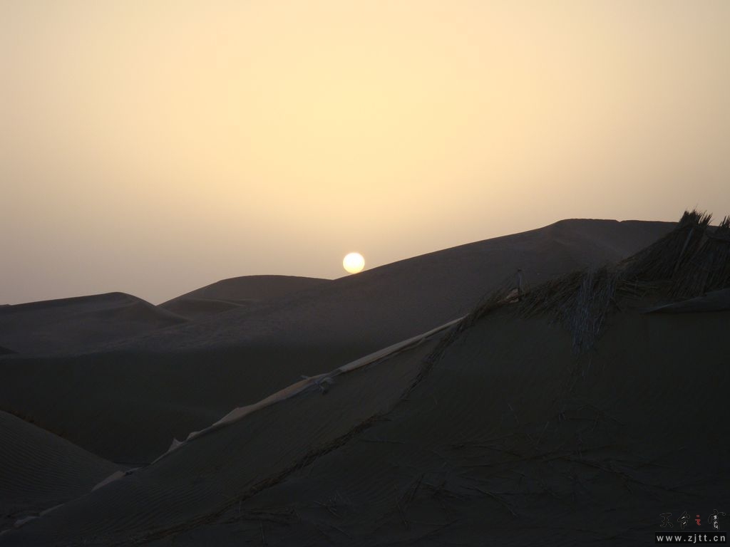 DSC04453_副本.jpg
