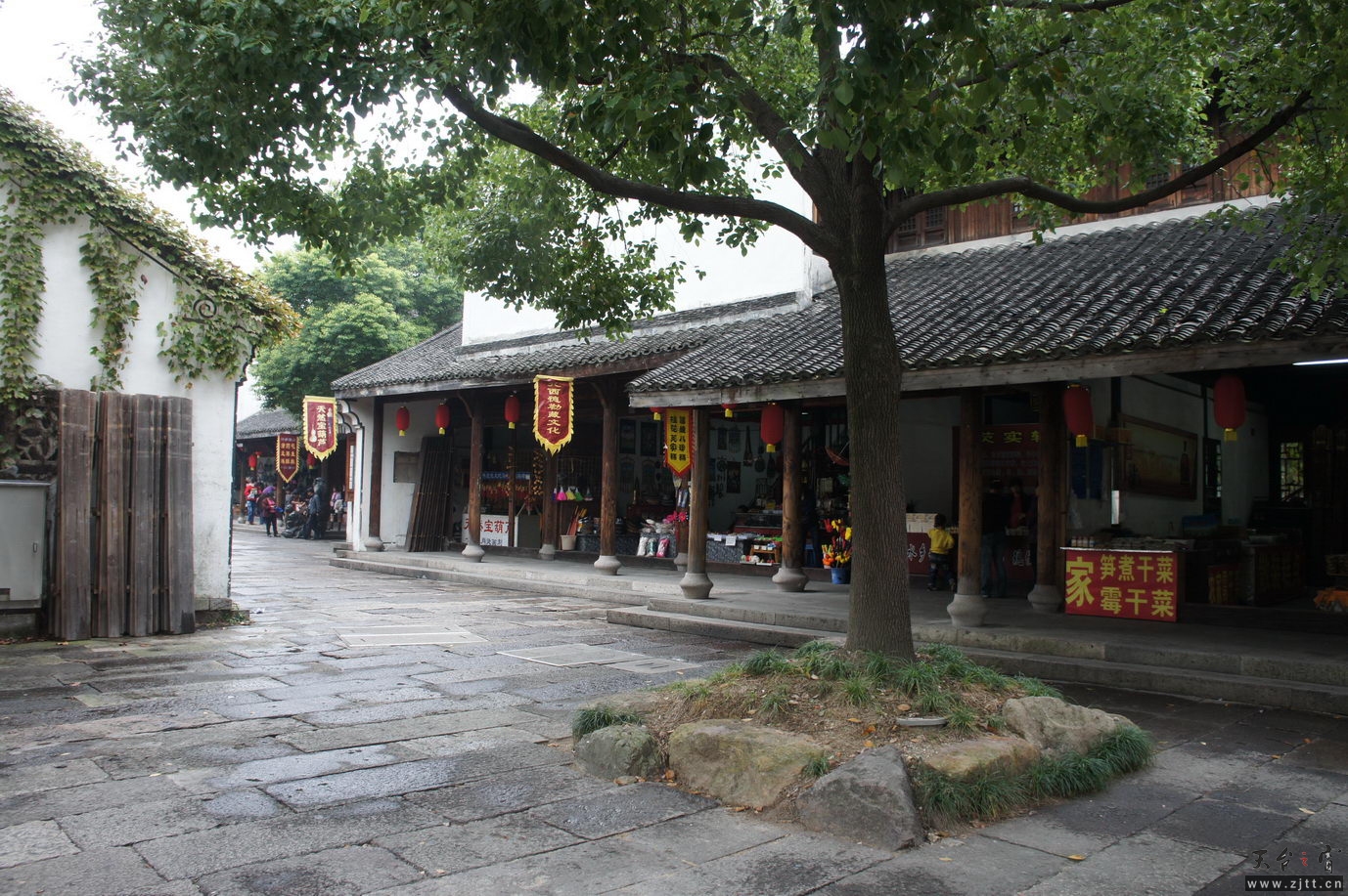 DSC04576_调整大小.jpg