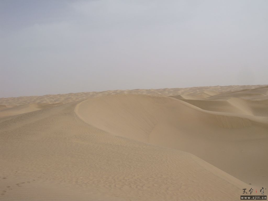 DSC04516_副本.jpg