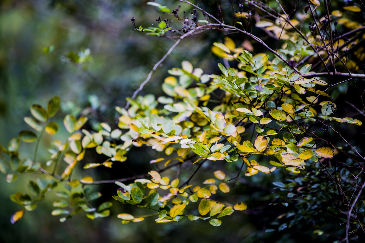 125A5514_调整大小.jpg