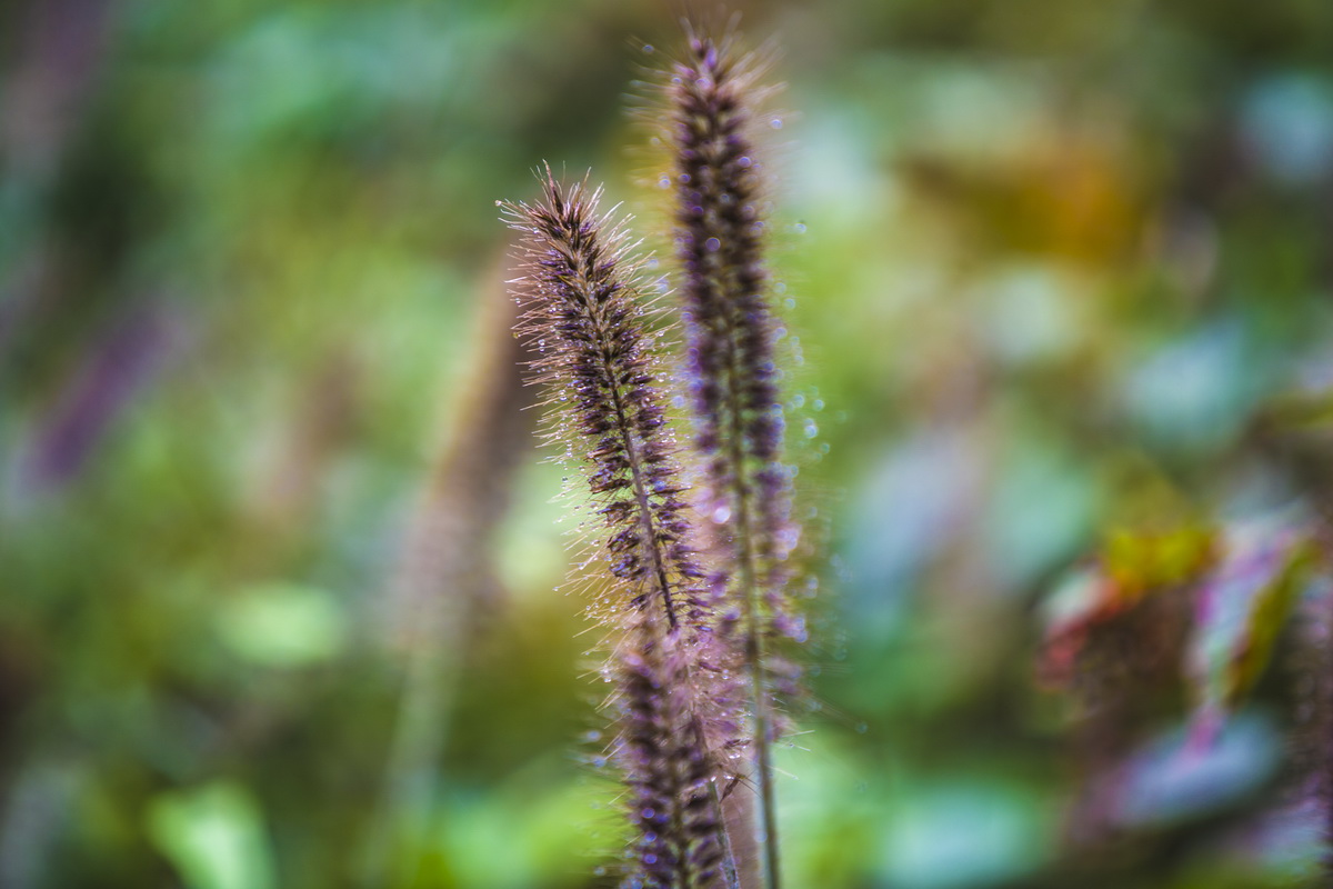 125A5517_调整大小.jpg