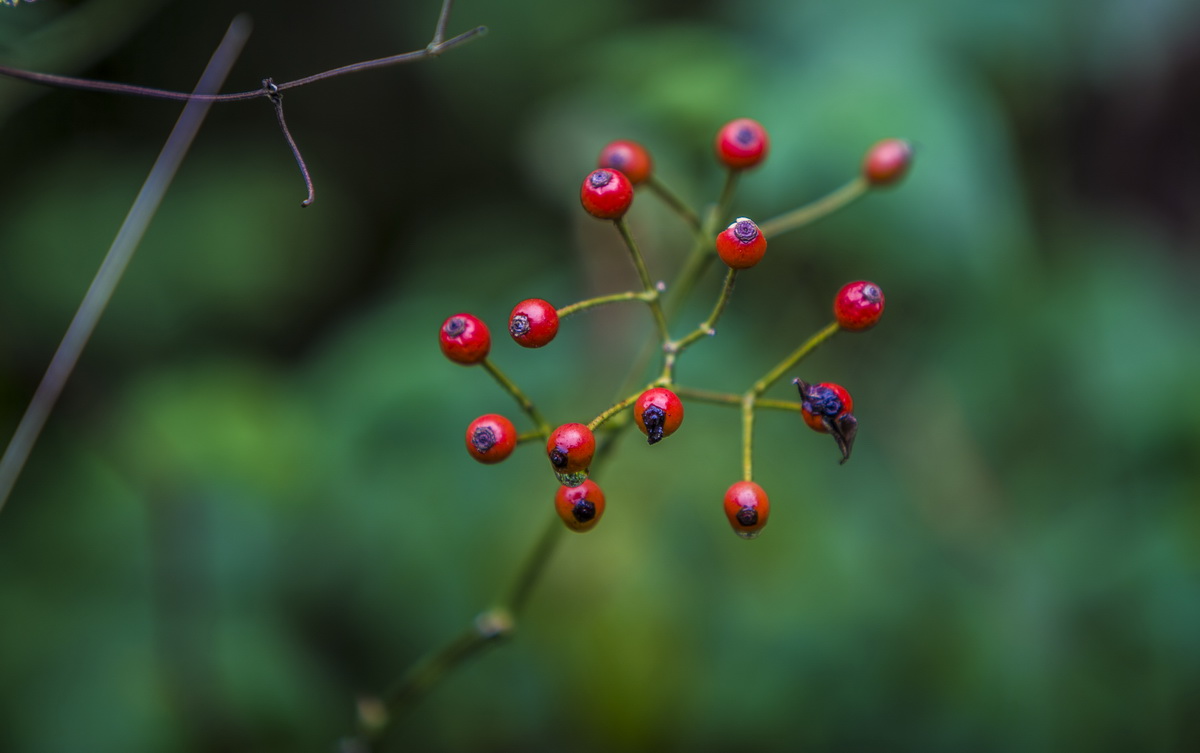 125A5527_调整大小.jpg