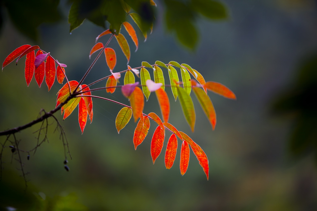 125A5539_调整大小.jpg