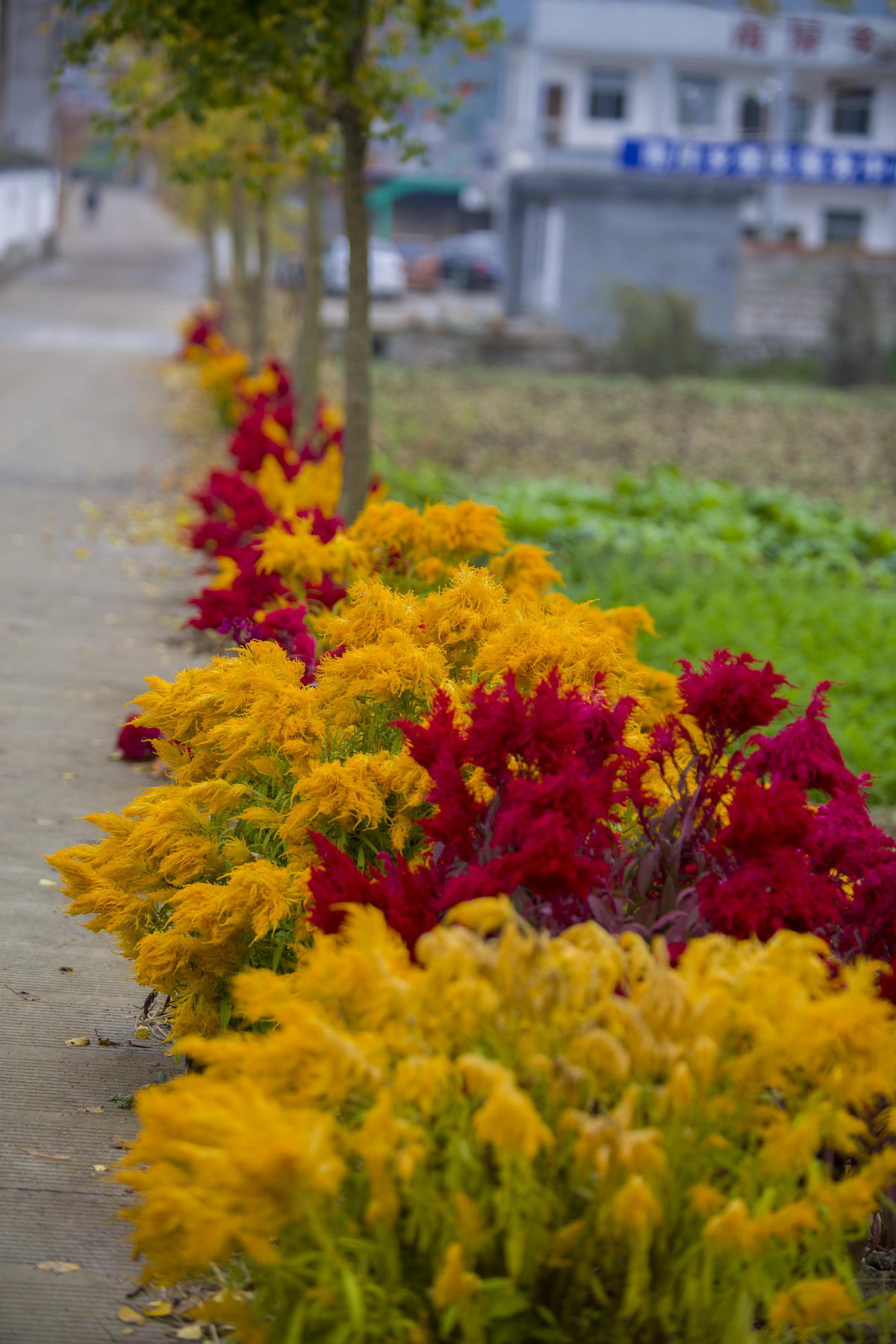 125A6402_调整大小.jpg