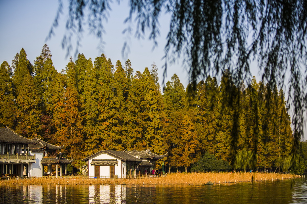 125A7252_调整大小.jpg