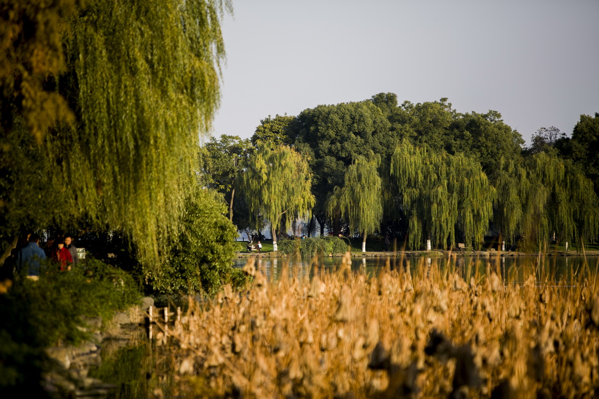 125A7287_调整大小.jpg