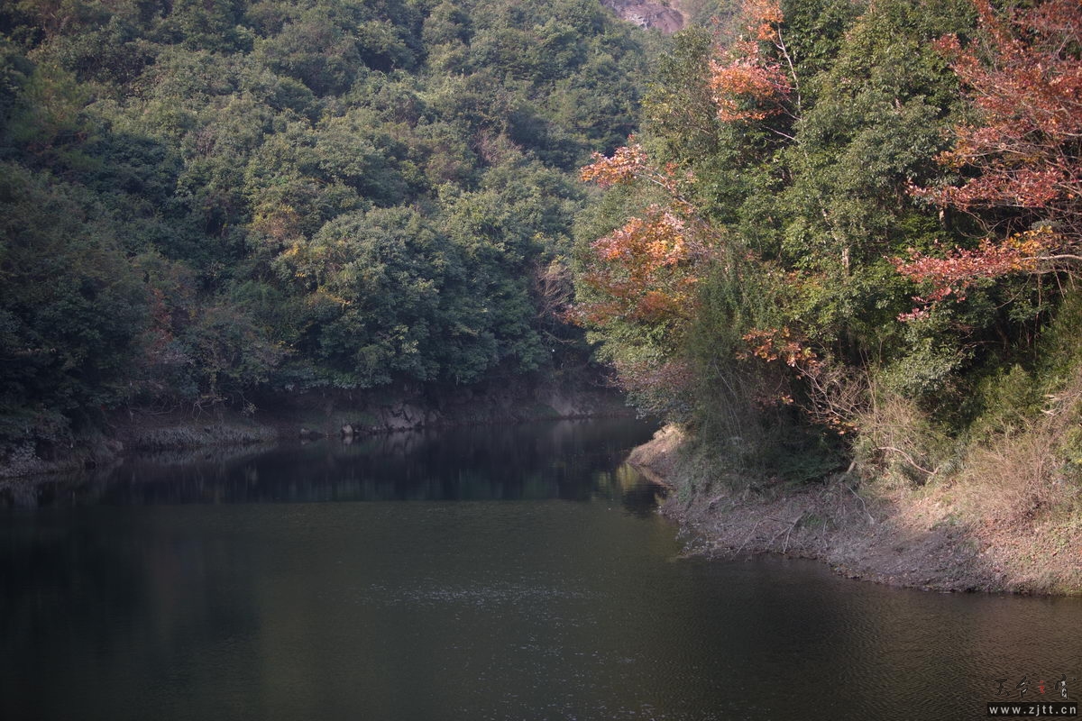 125A7970_调整大小.jpg