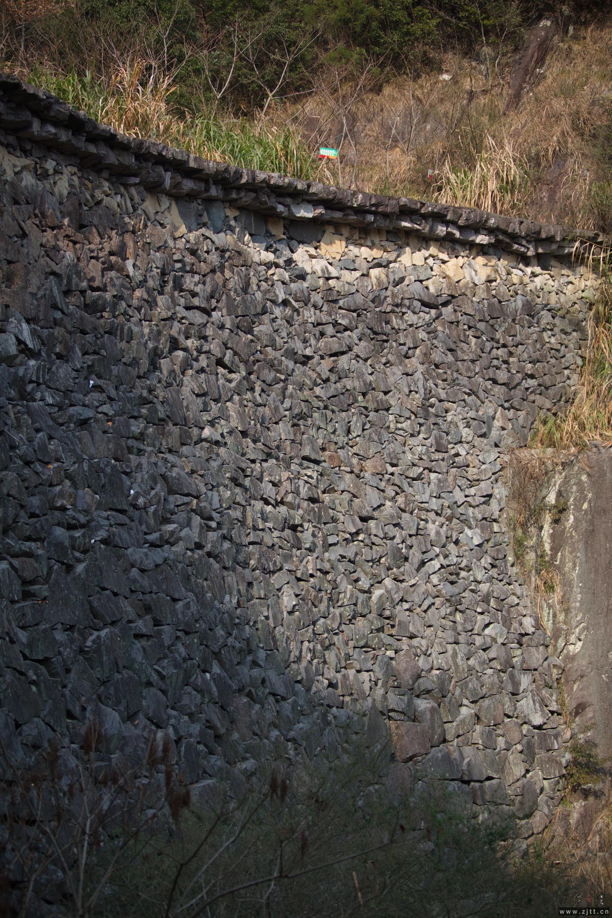 125A7974_调整大小.jpg