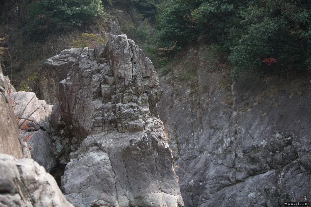 125A7995_调整大小.jpg